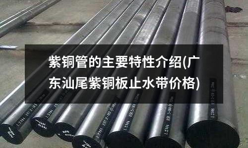 紫銅管的主要特性介紹(廣東汕尾紫銅板止水帶價格)