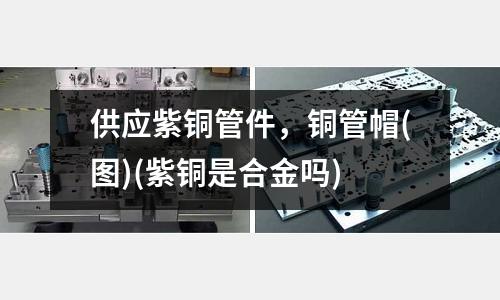供應(yīng)紫銅管件,銅管帽(圖)(紫銅是合金嗎)