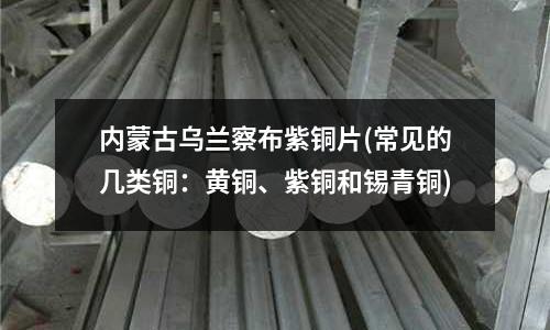 內(nèi)蒙古烏蘭察布紫銅片(常見的幾類銅：黃銅、紫銅和錫青銅)
