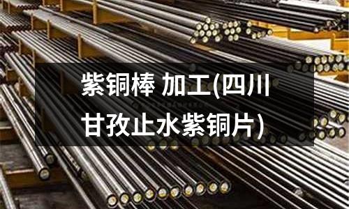 紫銅棒 加工(四川甘孜止水紫銅片)