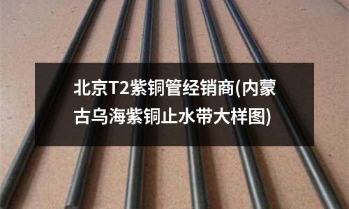 北京T2紫銅管經(jīng)銷商(內(nèi)蒙古烏海紫銅止水帶大樣圖)