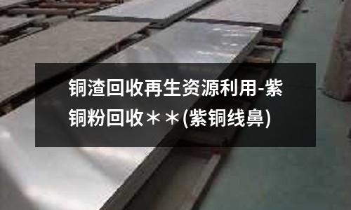 銅渣回收再生資源利用-紫銅粉回收**(紫銅線鼻)