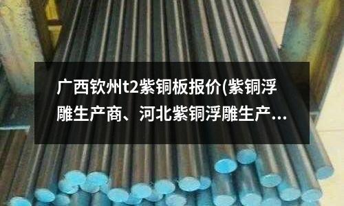 廣西欽州t2紫銅板報價(紫銅浮雕生產商、河北紫銅浮雕生產商)