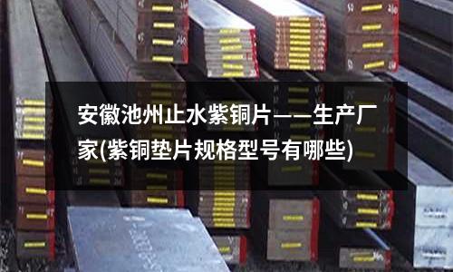 安徽池州止水紫銅片——生產廠家(紫銅墊片規格型號有哪些)