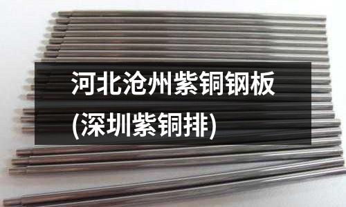 河北滄州紫銅鋼板(深圳紫銅排)