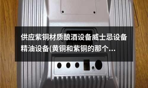 供應紫銅材質釀酒設備威士忌設備精油設備(黃銅和紫銅的那個辟邪)