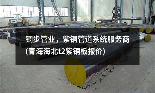 銅步管業,紫銅管道系統服務商(青海海北t2紫銅板報價)