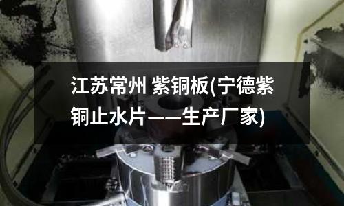 江蘇常州 紫銅板(寧德紫銅止水片——生產廠家)