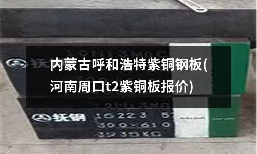 內蒙古呼和浩特紫銅鋼板(河南周口t2紫銅板報價)