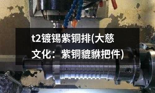 t2鍍錫紫銅排(大慈文化：紫銅貔貅把件)