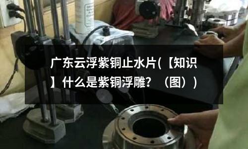 廣東云浮紫銅止水片(【知識】什么是紫銅浮雕?(圖))