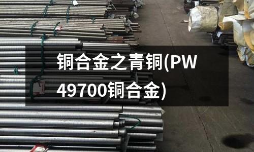 銅合金之青銅(PW49700銅合金)