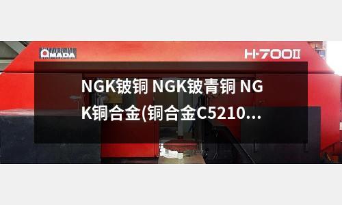 NGK鈹銅 NGK鈹青銅 NGK銅合金(銅合金C52100錫青銅管)
