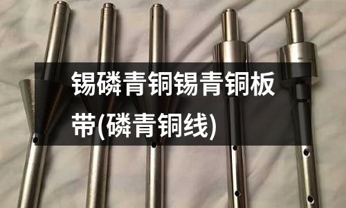 錫磷青銅錫青銅板帶(磷青銅線)