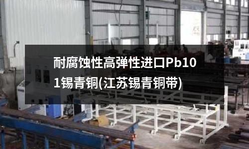 耐腐蝕性高彈性進口Pb101錫青銅(江蘇錫青銅帶)