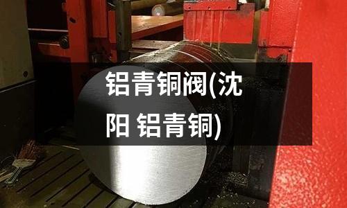 鋁青銅閥(沈陽 鋁青銅)