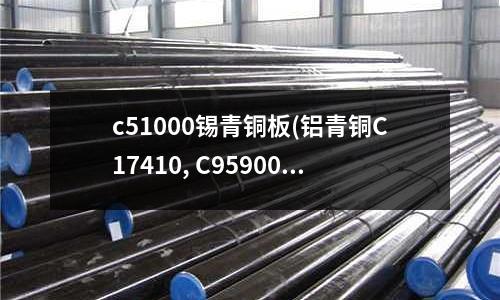 c51000錫青銅板(鋁青銅C17410, C95900)