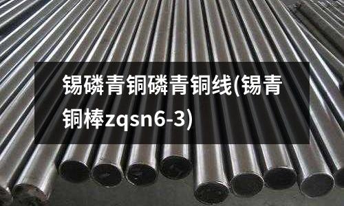 錫磷青銅磷青銅線(錫青銅棒zqsn6-3)