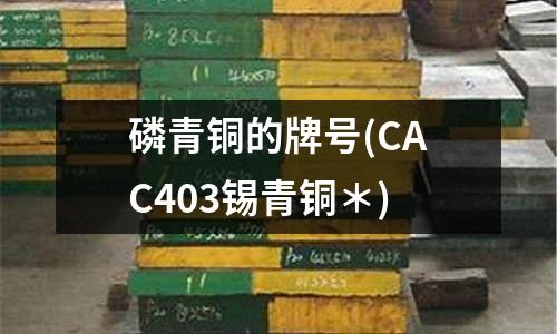 磷青銅的牌號(CAC403錫青銅*)