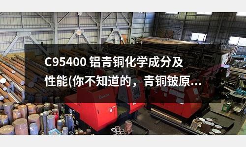 C95400 鋁青銅化學成分及性能(你不知道的，青銅鈹原來長這樣)