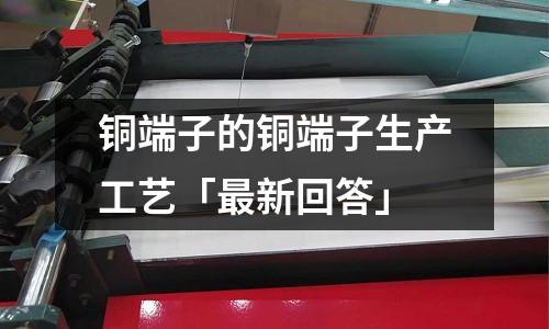 銅端子的銅端子生產(chǎn)工藝「最新回答」