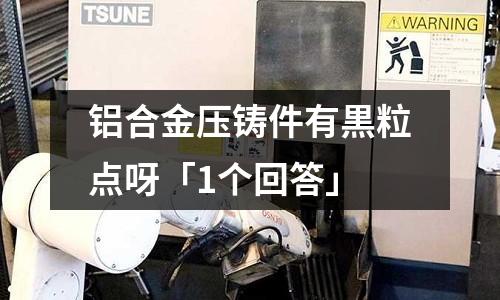 鋁合金壓鑄件有黒粒點呀「1個回答」