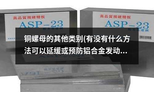銅螺母的其他類別(有沒有什么方法可以延緩或預防鋁合金發動機缸體的模具模具龜裂崩模)
