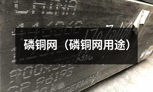 磷銅網(wǎng)(磷銅網(wǎng)用途)