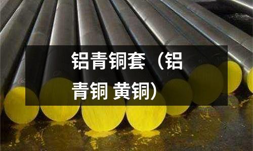 鋁青銅套（鋁青銅 黃銅）