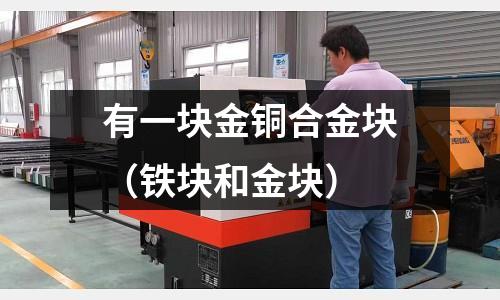 有一塊金銅合金塊（鐵塊和金塊）