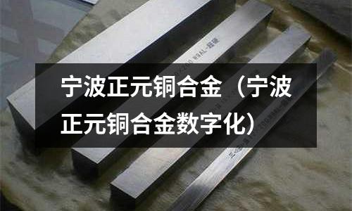 寧波正元銅合金(寧波正元銅合金數(shù)字化)