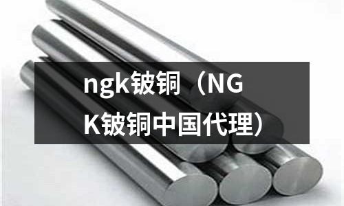 ngk鈹銅(NGK鈹銅中國代理)