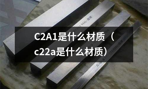 C2A1是什么材質(zhì)（c22a是什么材質(zhì)）