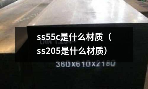 ss55c是什么材質(ss205是什么材質)