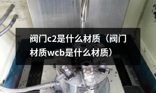 閥門c2是什么材質(閥門材質wcb是什么材質)