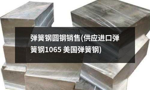 彈簧鋼圓鋼銷售(供應(yīng)進(jìn)口彈簧鋼1065 美國彈簧鋼)