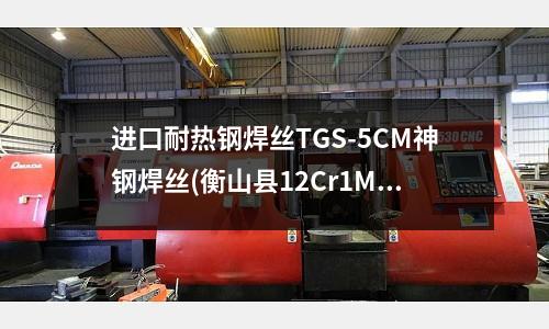 進口耐熱鋼焊絲TGS-5CM神鋼焊絲(衡山縣12Cr1MoV鍋爐耐熱鋼板)