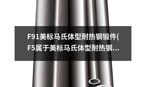 F91美標(biāo)馬氏體型耐熱鋼鍛件(F5屬于美標(biāo)馬氏體型耐熱鋼鍛件)