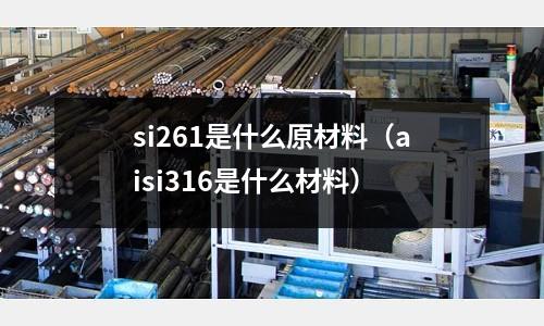 si261是什么原材料（aisi316是什么材料）