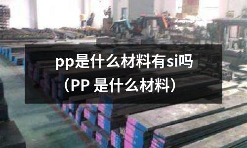 pp是什么材料有si嗎(PP 是什么材料)