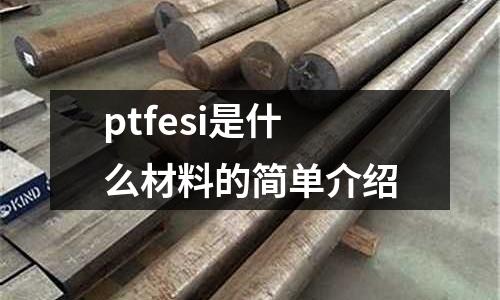 ptfesi是什么材料的簡單介紹