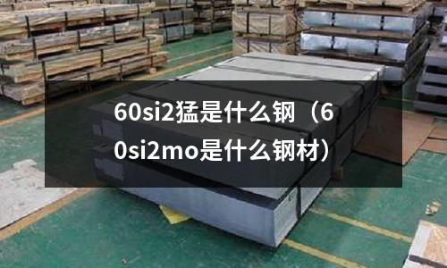 60si2猛是什么鋼(60si2mo是什么鋼材)