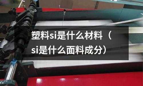 塑料si是什么材料（si是什么面料成分）