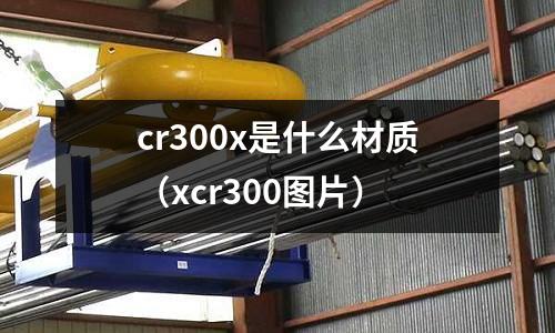 cr300x是什么材質（xcr300圖片）