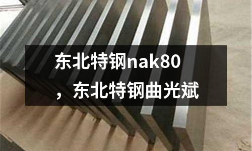東北特鋼nak80,東北特鋼曲光斌