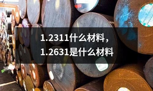 1.2311什么材料，1.2631是什么材料