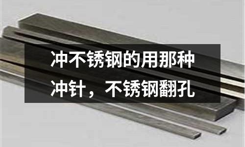 沖不銹鋼的用那種沖針，不銹鋼翻孔