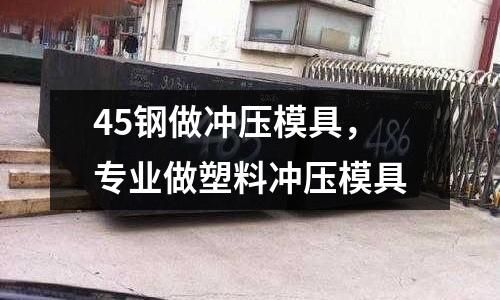 45鋼做沖壓模具，專業做塑料沖壓模具