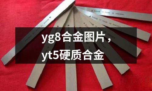 yg8合金圖片，yt5硬質合金