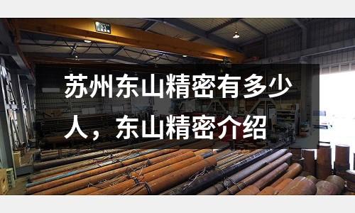 蘇州東山精密有多少人，東山精密介紹